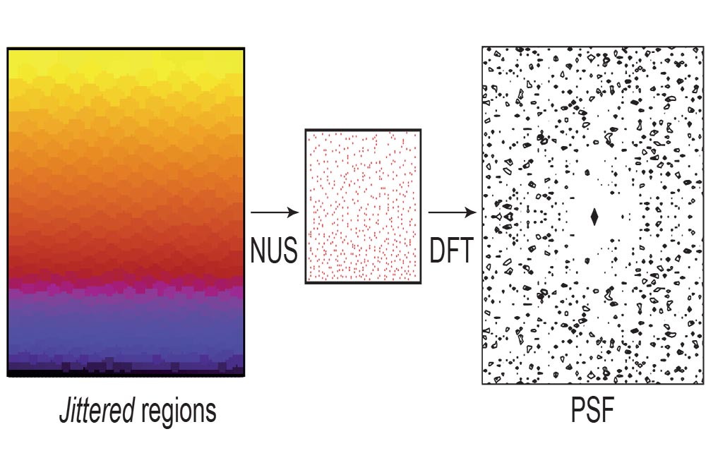 schematic of non-uniform sampling for NMR